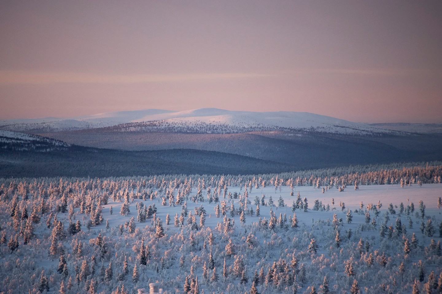 Urho Kekkosen kansallispuisto