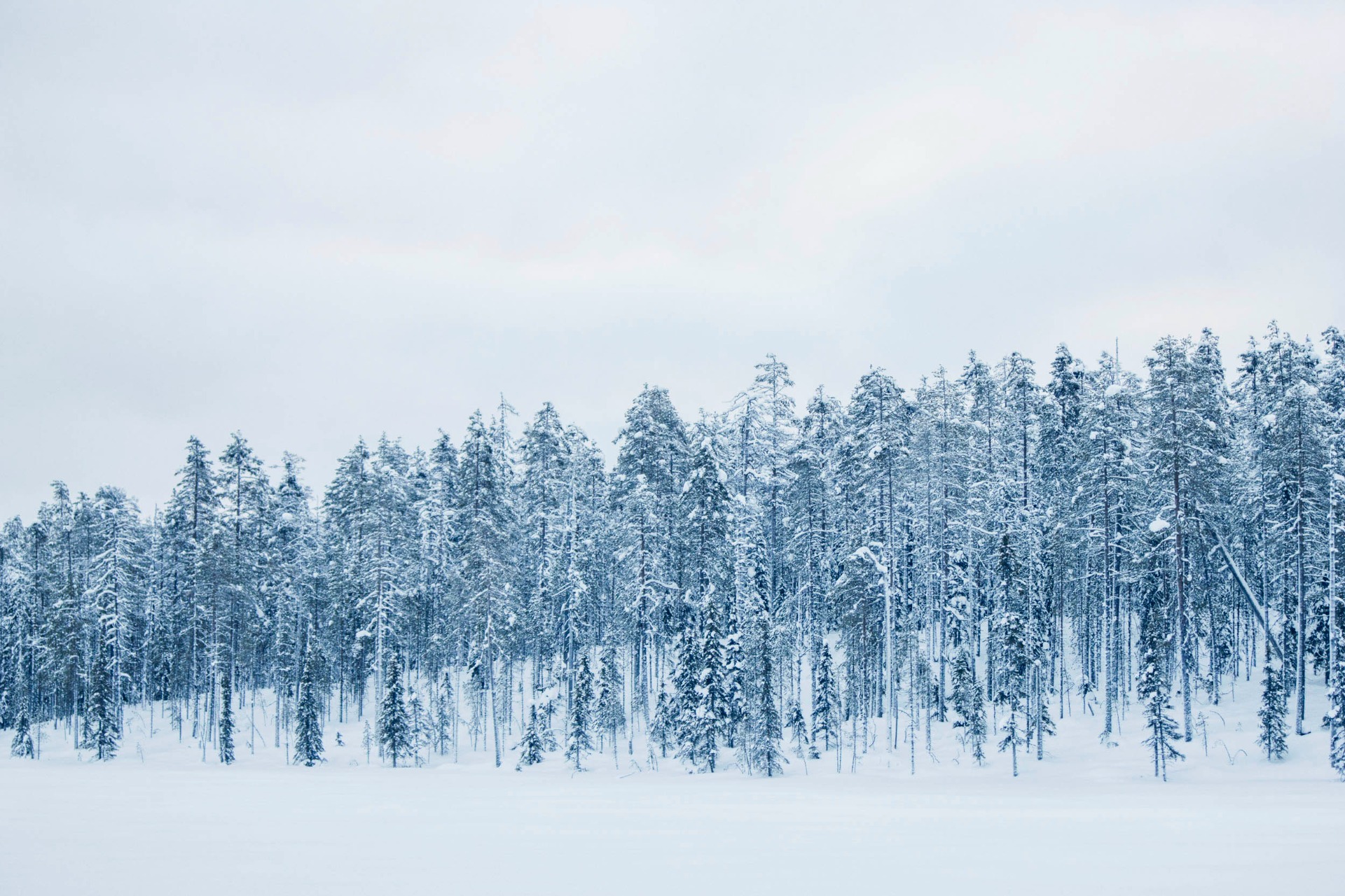Winter trekking course