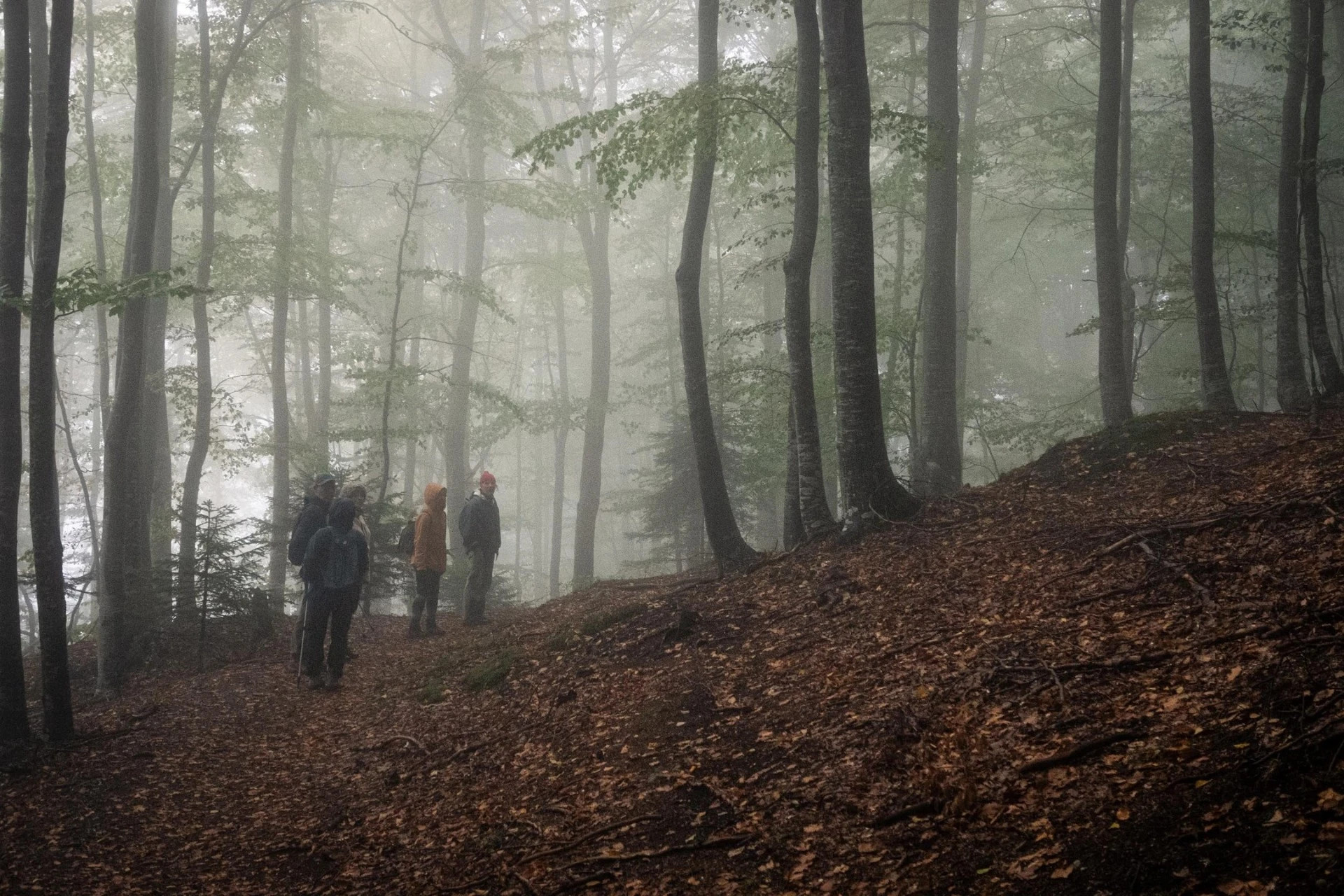 Vaellusmatkalla Romanian Transilvaniassa