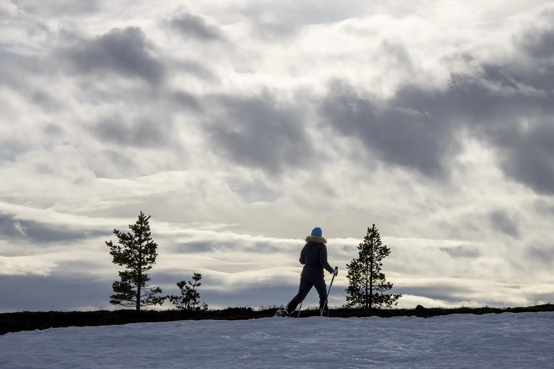 Hiihtoretki Torronsuolle