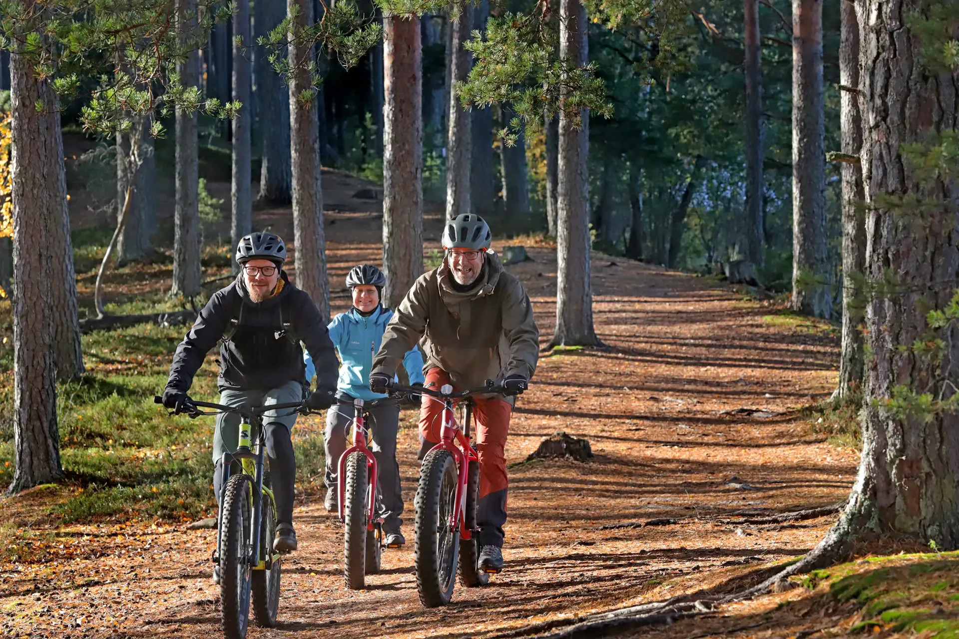  Saaren kansanpuiston poluilla