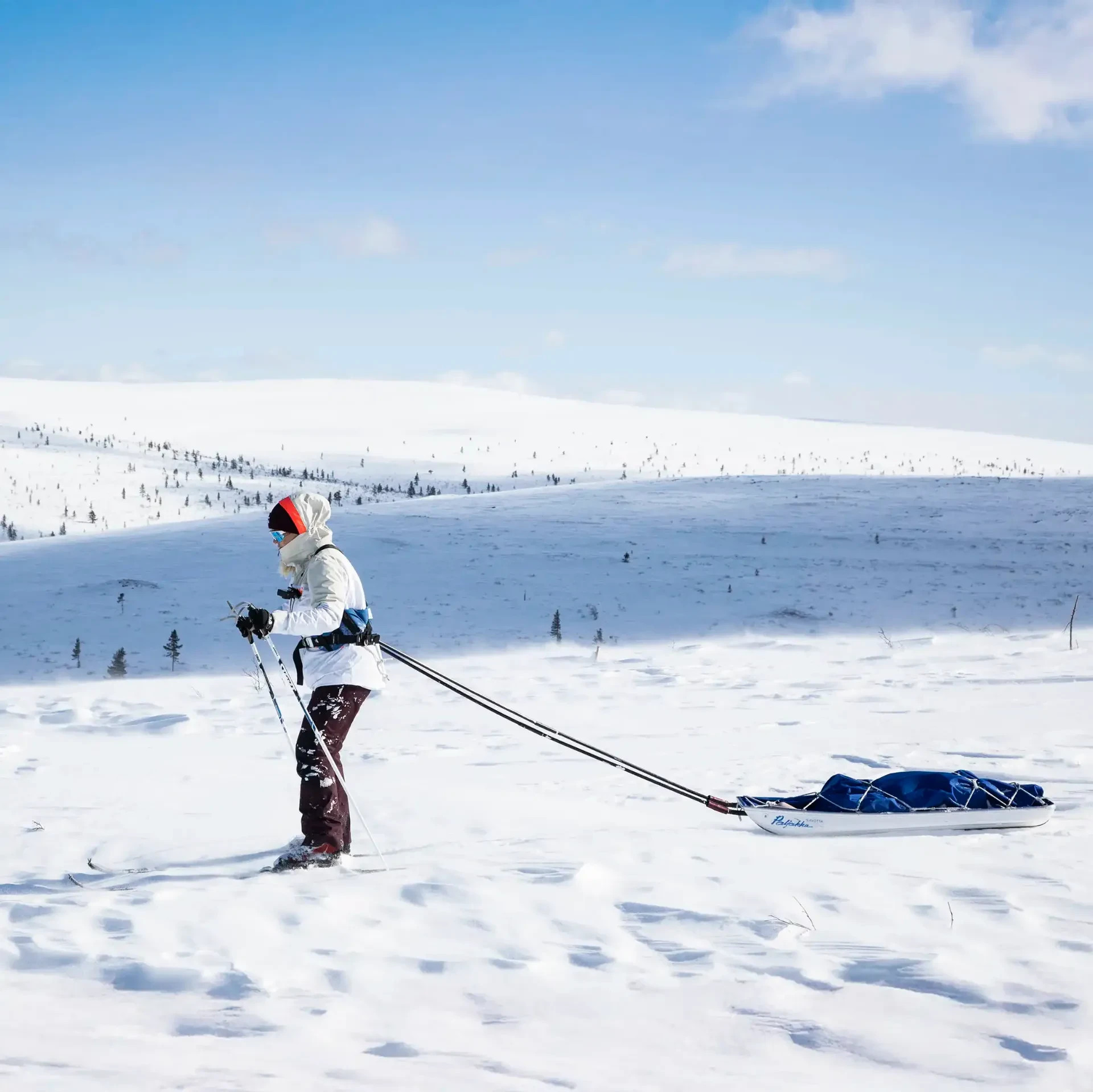 Hiihtovaellus UKK kansallispuistossa