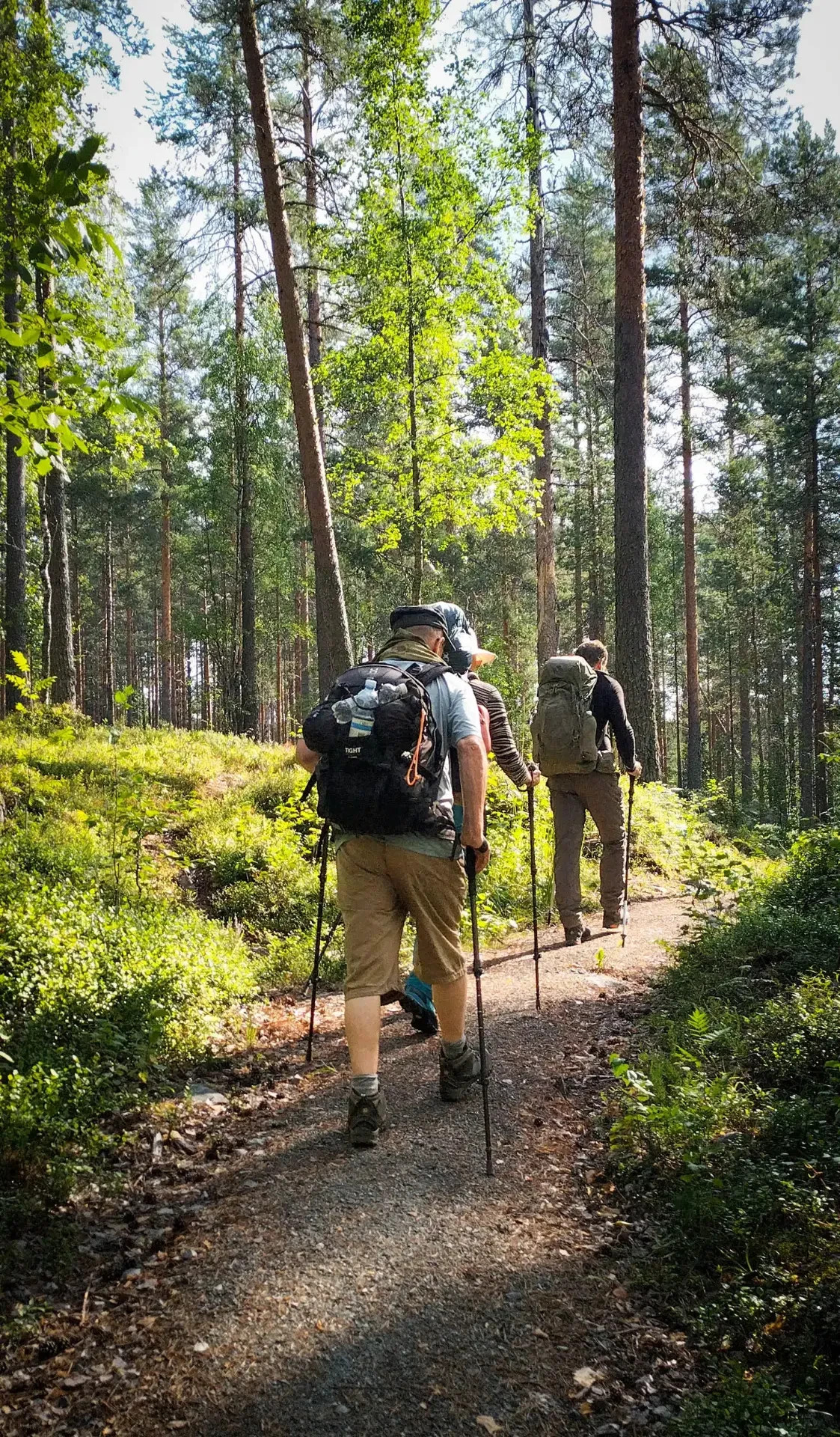 Hiking in North Karelia